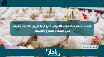 أحدث سعر الكتكوت الأبيض اليوم 12 إبريل 2025.. تعرف على أسعار الفراخ والبيض